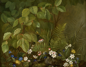 Lot 6174, Auction  118, Dänisch, 19. Jh. Blätterdickicht mit Farnen und Wildblumen