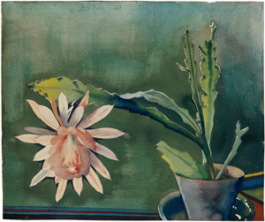 Lot 7216, Auction  118, Stuckenberg, Fritz, Blühender Kaktus