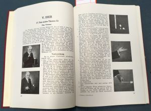 Lot 502, Auction  119, Hofzinser, Johann Nepomuk, Zauberkünste