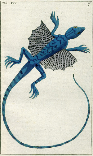 Lot 460, Auction  120, Wilhelm, Gottlieb Tobias - zugeschrieben, Unterhaltungen aus der Naturgeschichte