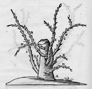 Lot 471, Auction  120, Liger, Louis, Oeconomie generale de la Campagne