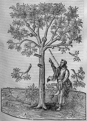 Lot 1088, Auction  120, Marlorat, Augustin, In CL. psalmos Davidis + Esaiae prophetia