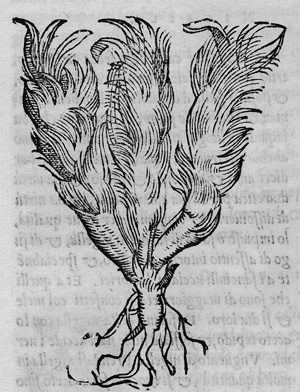 Lot 1110, Auction  120, Sansovino, Francesco, Della agricoltura