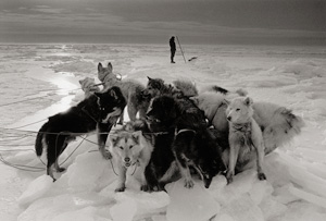 Lot 4094, Auction  120, Axelsson, Ragnar, Greenland - on the Ice, Hunter