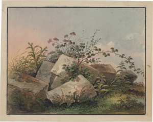 Lot 5388, Auction  120, Zingg, Adrian, Wiesenstück mit umrankten Steinen