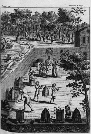 Lot 281, Auction  121, Liger, Louis, Le nouveau theatre d'agriculture