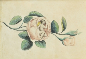 Lot 2262, Auction  121, Fabelwesen in einer Rose, Handkolorierte Miniatur in Original-Lithographie