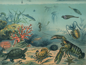 Lot 2698, Auction  121, Schreiber, J. F., Geographische Charakterbilder