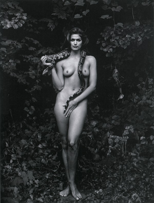 Lot 4237, Auction  121, Leibovitz, Annie, Cindy Crawford, New York