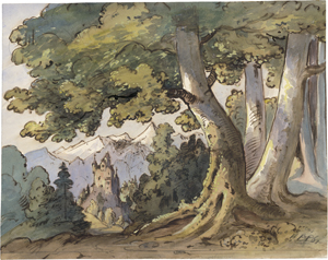 Lot 6783, Auction  121, Pocci, Franz Graf von, Bewaldete Berglandschaft mit Burg