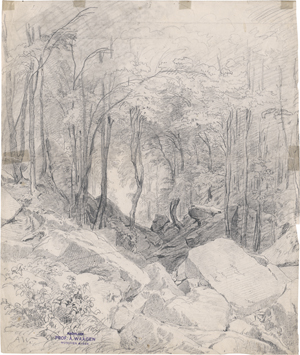 Lot 6811, Auction  121, Waagen, Adalbert, Bergwaldstudie