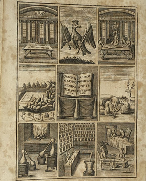 Lot 353, Auction  122, Woyt, Johann Jacob, Gazophylacium medico-physicum 