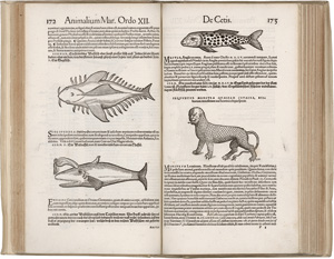 Lot 1345, Auction  122, Gessner, Conrad, Nomenclator aquatilium animantium