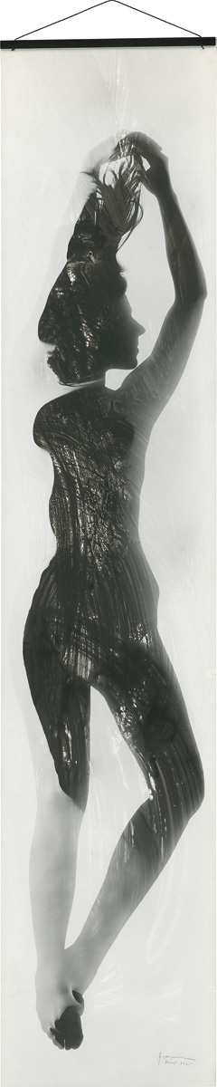 Lot 4237, Auction  122, Neusüss, Floris M., Körperbild/Fotogramm, Kassel