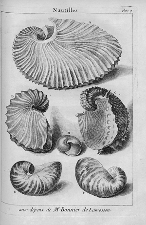 Lot 374, Auction  123, Argenville, Antoine Joseph Dezallier de, L'histoire naturelle éclaircie dans deux de ses parties principales