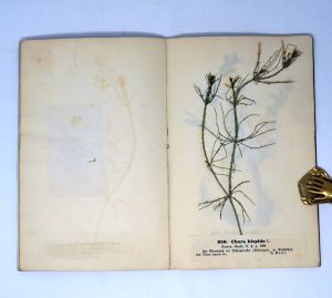 Lot 392, Auction  123, Rabenhorst, Ludwig, Die Algen Sachsens, respective Mittel-Europa's