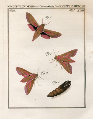 Lot 397, Auction  123, Sepp, Jan Christian, Beschouwing der Wonderen Gods