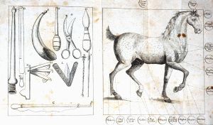 Lot 412, Auction  123, Griesbach, Michael Gottlieb, Edle Reit-Kunst mit Kupfern und einem Anhange von der Roß-Artzeney