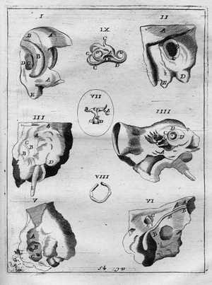 Lot 585, Auction  123, Tevo, Zaccaria, Il Musico testore. EA