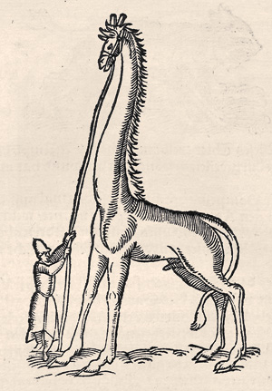 Lot 2578, Auction  123, Plinius Caecilius Secundus, Gaius, Bücher und Schrifften von Natur