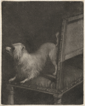 Lot 5166, Auction  123, Verkolje, Nicolaas, Der weiße Hund