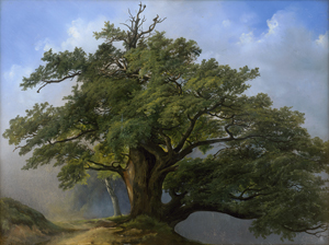 Lot 6080, Auction  123, Feid, Josef, Alte Eiche am Abhang