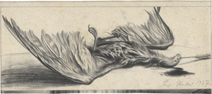 Lot 6396, Auction  123, Müller, Richard, Der Raubvogel