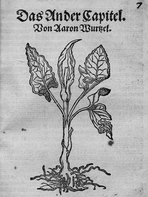 Lot 782, Auction  125, Schnellenberg, Tarquinius, Experimenta. Von XX. Pestilenz Wurzeln und Kreutern. Frankfurt, Hermann Gülfferich, 1552