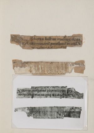 Lot 1002, Auction  125, Notker Labeo, Psalm 88, 10. Winziges Fragmentstück einer lateinischen Handschrift auf Pergament. Deutschland 11. Jahrhundert