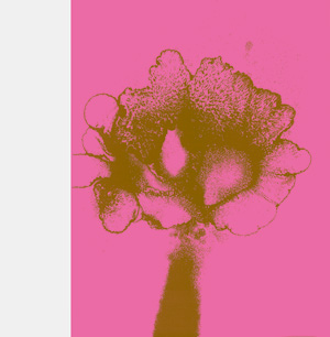 Lot 3287, Auction  125, Piene, Otto, Werkverzeichnis der Druckgrafik 1960-1976. Karlsruhe, Edition Rottloff, 1977