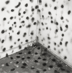 Lot 4116, Auction  125, Divola, John, Vandalism (74V01)