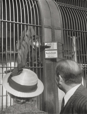 Lot 4256, Auction  125, Seidenstücker, Friedrich, Zoo visitors, Zoologischer Garten, Berlin