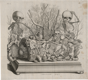 Lot 5281, Auction  125, Huyberts, Cornelis, Diorama mit kleinen Skeletten und Organen