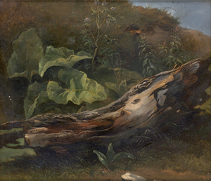 Lot 6072, Auction  125, Deutsch, um 1840. Knorriger Baumstumpf mit Bach-Pestwurz