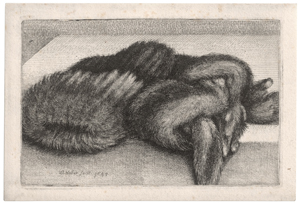 Lot 6524, Auction  125, Hollar, Wenzel, Gestreifter Muff und Pelzboa