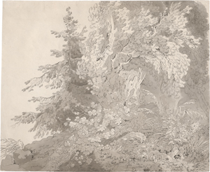 Lot 6777, Auction  125, Zingg, Adrian, oder Schule. Dicht bewachsene Waldpartie