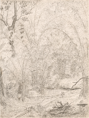 Lot 6898, Auction  125, Englisch, 1866. Im indischen Bambuswald