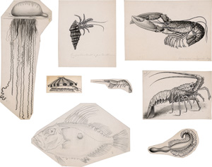 Lot 364, Auction  126, Cori, Carl Isidor, Zeichnerischer Teilnachlass