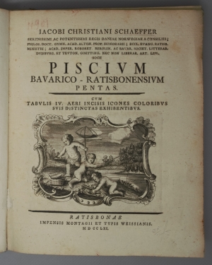 Los 383 - Schäffer, Jakob Christian - Piscium Bavarico-Ratisbonensium pentas - 6 - thumb