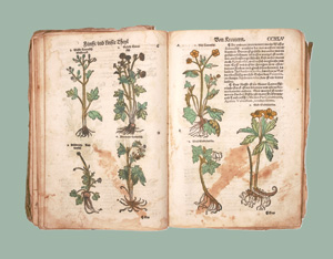 Lot 1147, Auction  126, Lonitzer, Adam, Kreuterbuch