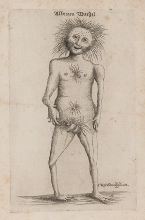 Los 1269 - Schmuck, Friedrich Wilhelm - Fasciculus admirandorum naturae - 1 - thumb