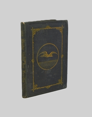 Los 2109 - Storm, Theodor - Drei Novellen - 2 - thumb