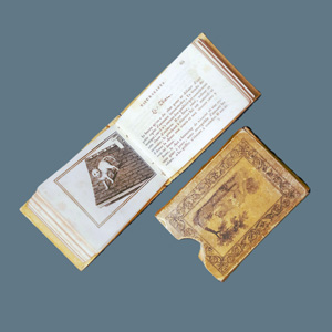 Lot 2135, Auction  126, Didot, Firmin, Le petit naturaliste