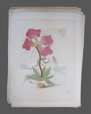 Los 3053 - Dali, Salvador - 29 kolorierte und pochoir-kolorierte Original-Kaltnadelradierungen auf Arches-Velin - 8 - thumb