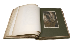 Los 3171 - Ingoldsby, Thomas und Rackham, Arthur - Illustr. - The Ingoldsby Legends or Mirth & Marvels - 7 - thumb