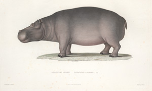 Lot 54, Auction  127, Lefebvre, Théophile, Voyage en Abyssinie exécuté pendant les années 1839, 1840, 1841, 1842, 1843