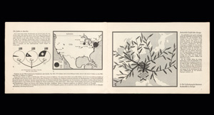 Los 480 - Jantzen, Walther - Die Juden - 0 - thumb