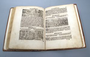 Los 1077 - Astronomia - Des Himmels Lauffes Wirckung unnd Natürlicher Influentz der Planeten, Gestirn und Zeychen - 11 - thumb