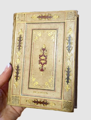 Los 2028 - Prachteinband - von Ferdinardo Ongania - 4 - thumb