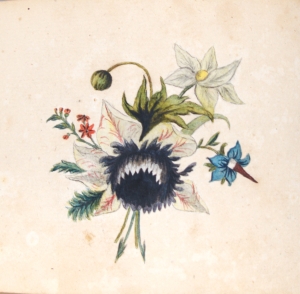 Los 2536 - Stammbuch - einer jungen Dame in Merseburg. 1811-1820 - 6 - thumb